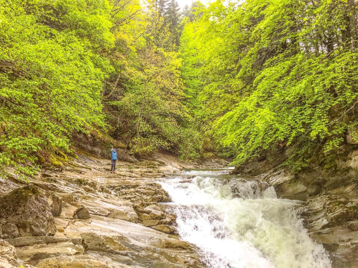Апартаменты Ikuilu Ochagavia-Selva De Irati Экстерьер фото